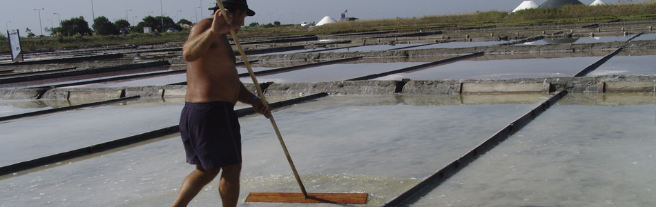 Marnoto, homem que trabalha nas salinas
